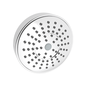 Overhead Shower with Arm