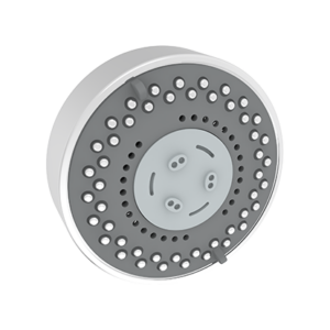 Overhead Multiflow Shower